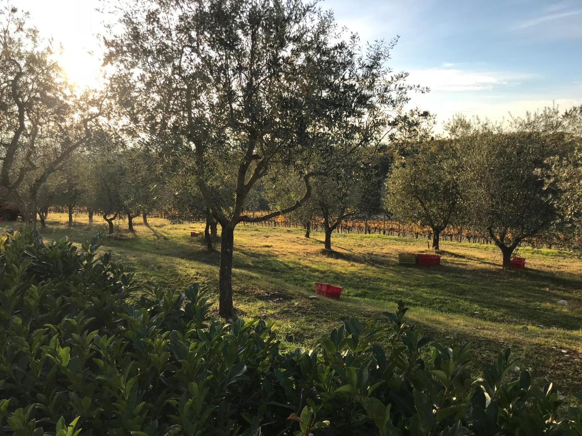 Il Villino Casa vacanze