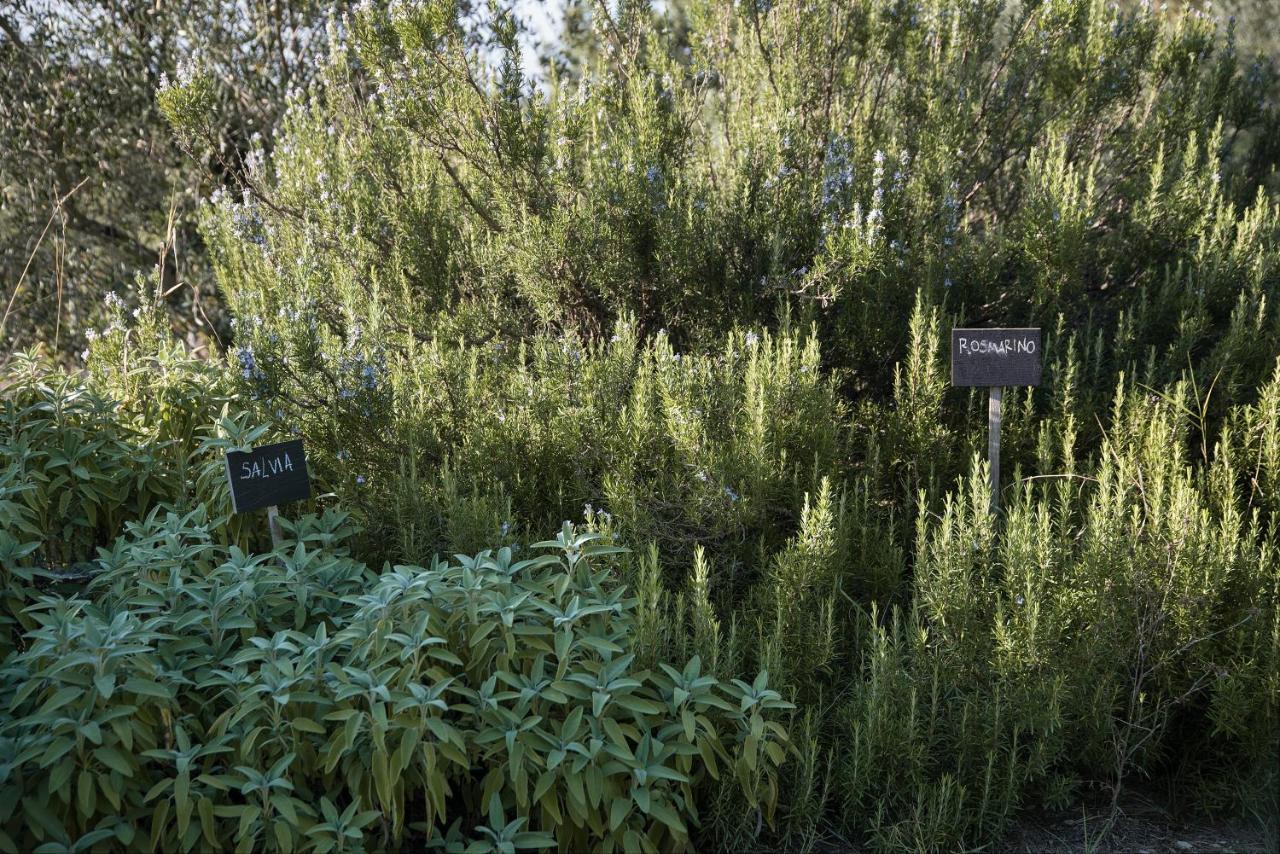 Holiday home Il Villino Castellina in Chianti