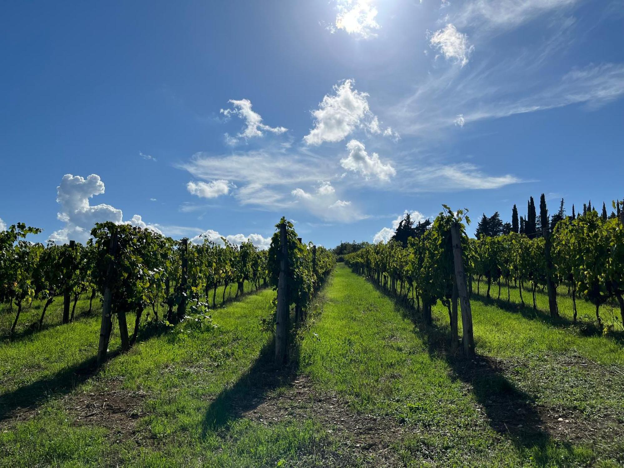 Holiday home Il Villino Castellina in Chianti